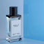 SALT Perfume 100ml EDP Fragrance World - ScentSaver