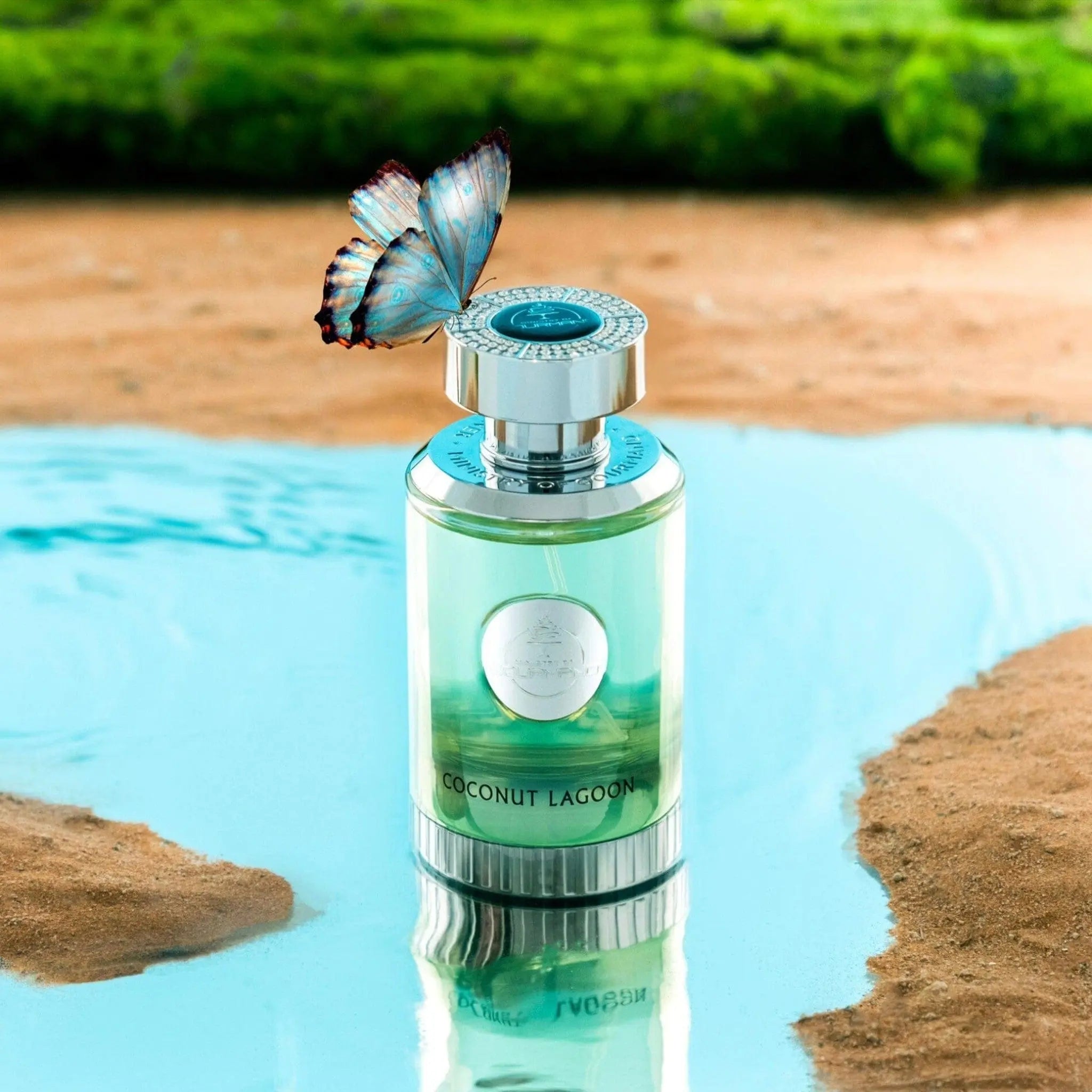 Coconut Lagoon Perfume 100ml EDP Paris Corner | ScentSaver