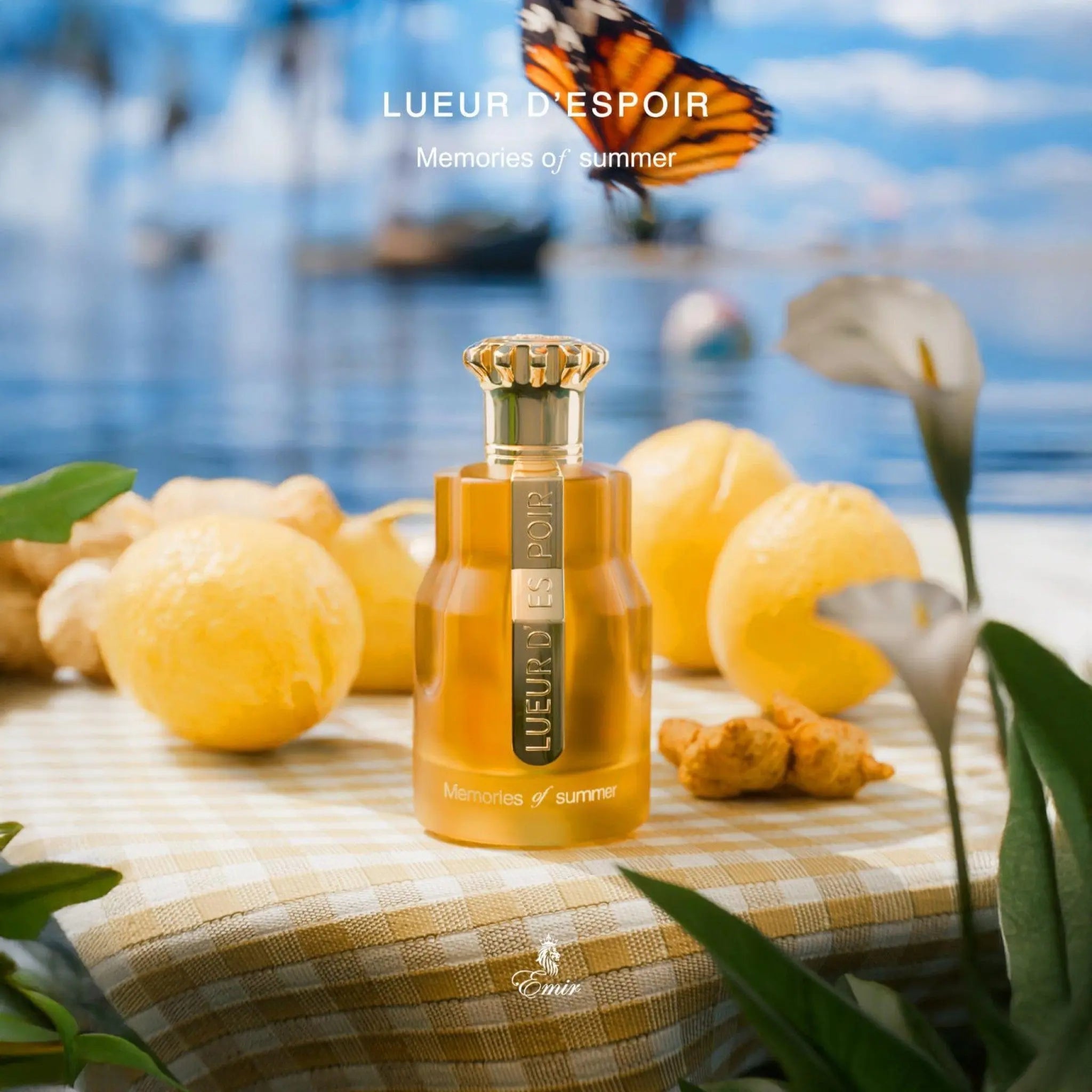 Emir Memories of Summer Perfume 100ml EDP Paris Corner Secondary image