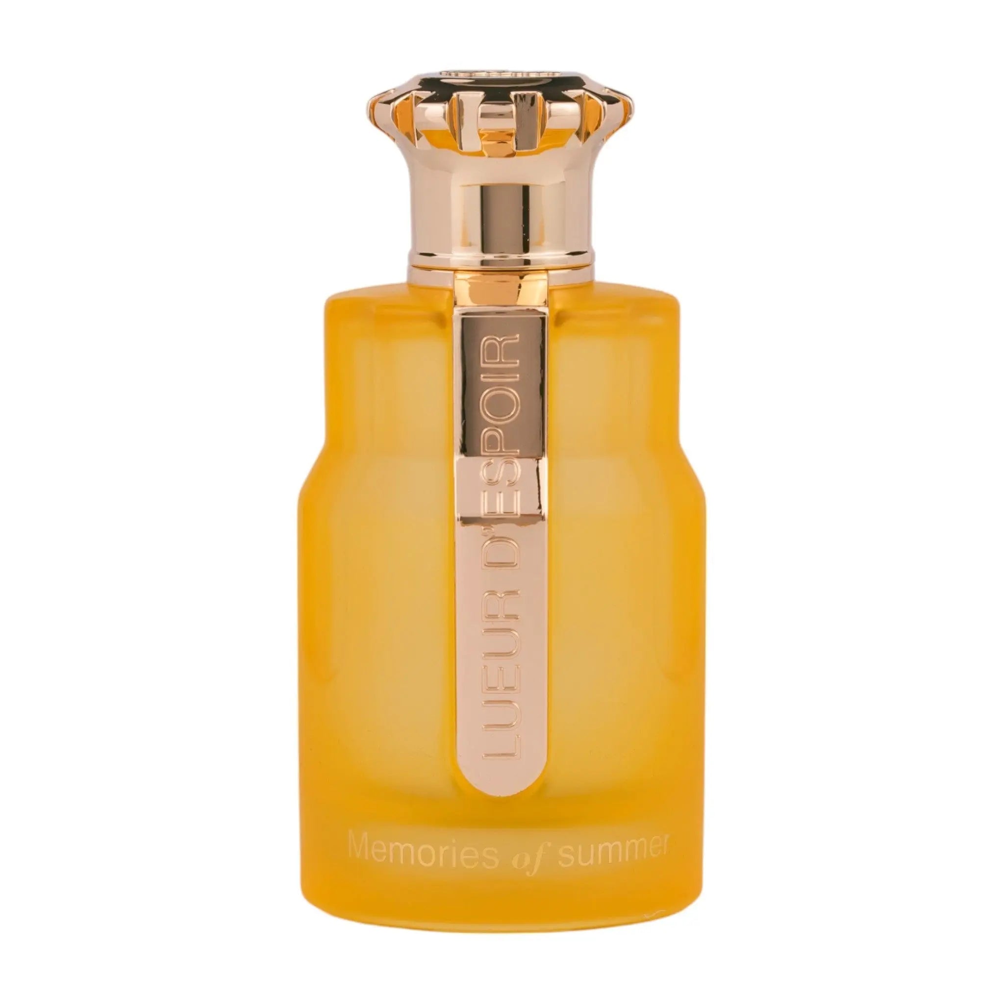 Emir Memories of Summer Perfume 100ml EDP Paris Corner | ScentSaver