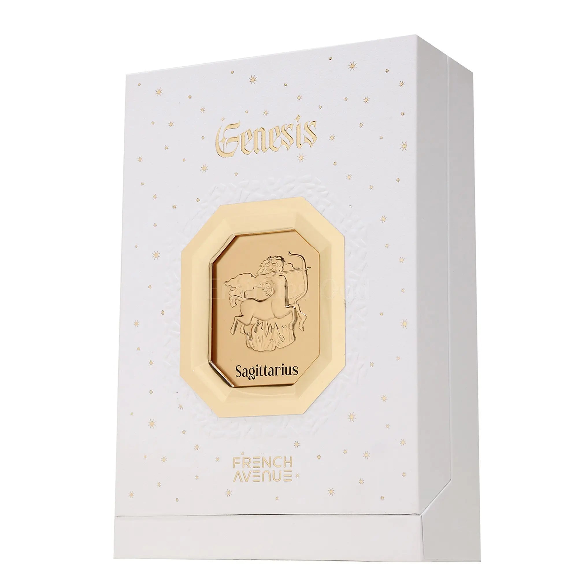 Genesis Sagittarius Perfume 90ml EDP By French Avenue Secondary image