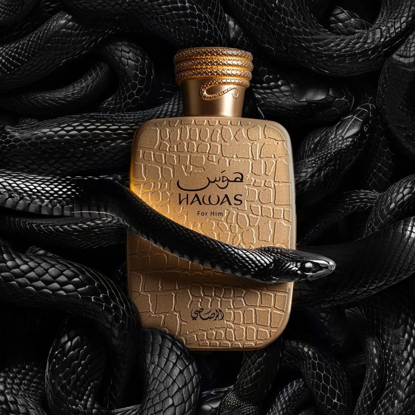 Hawas Viper Perfume 100ml EDP Rasasi | ScentSaver