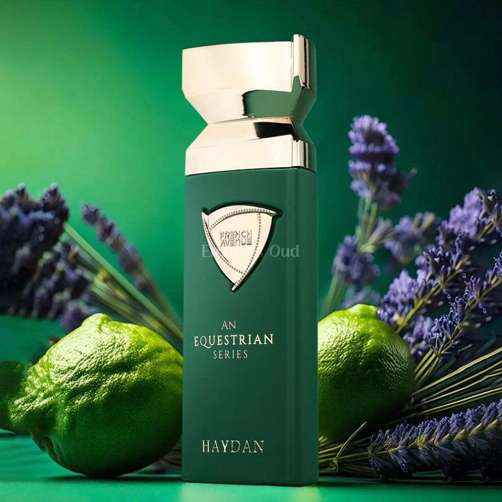 Haydan Equestrian Series Perfume 100ml EDP French Avenue | ScentSaver