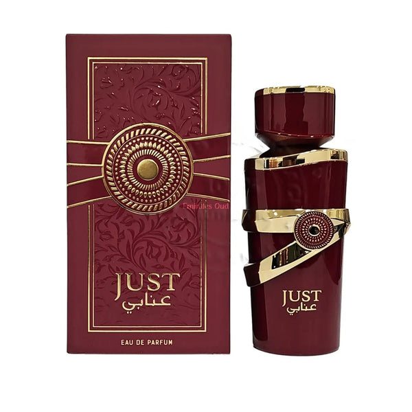 Just Anabi Perfume 100ml EDP By Fragrance World | ScentSaver
