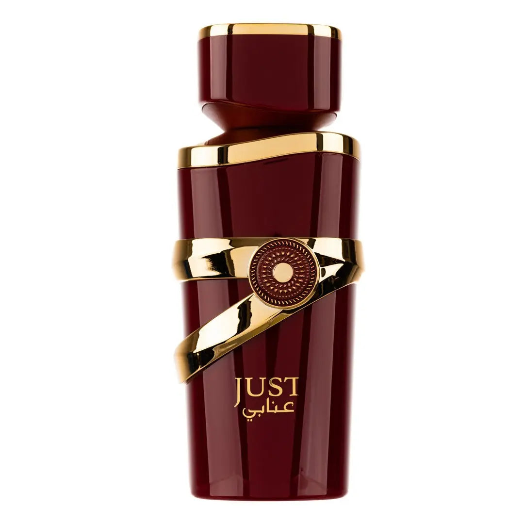 Just Anabi Perfume 100ml EDP By Fragrance World Secondary image