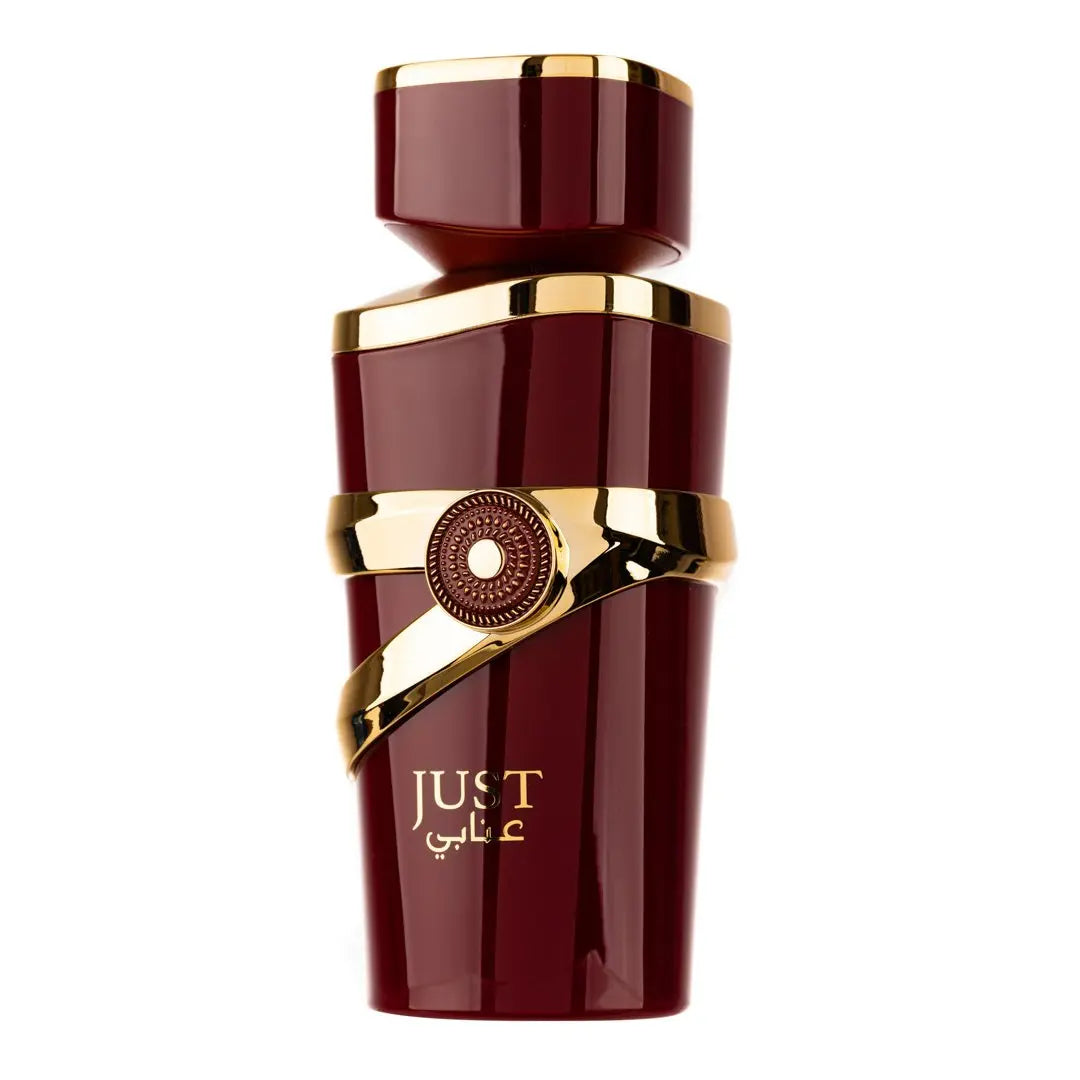 Just Anabi Perfume 100ml EDP By Fragrance World | ScentSaver