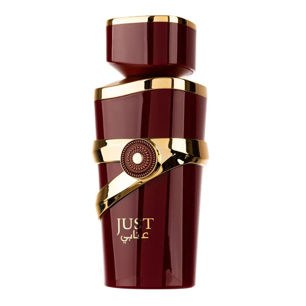 Just Anabi Perfume 100ml EDP By Fragrance World | ScentSaver