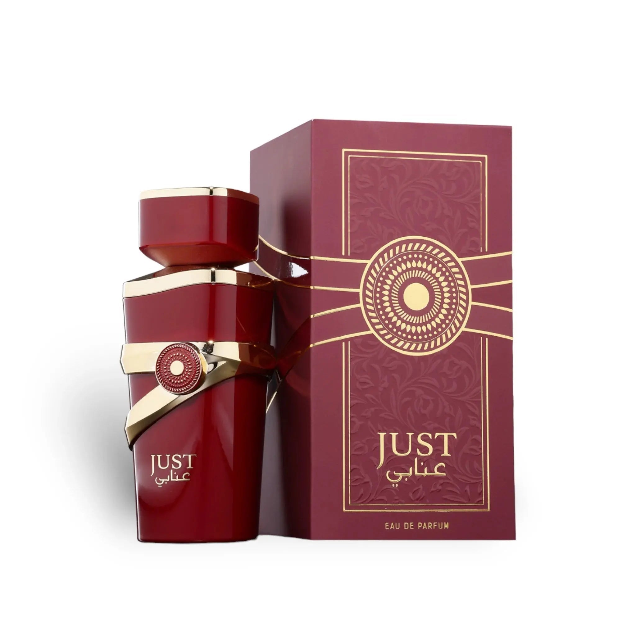 Just Anabi Perfume 100ml EDP By Fragrance World | ScentSaver Main image