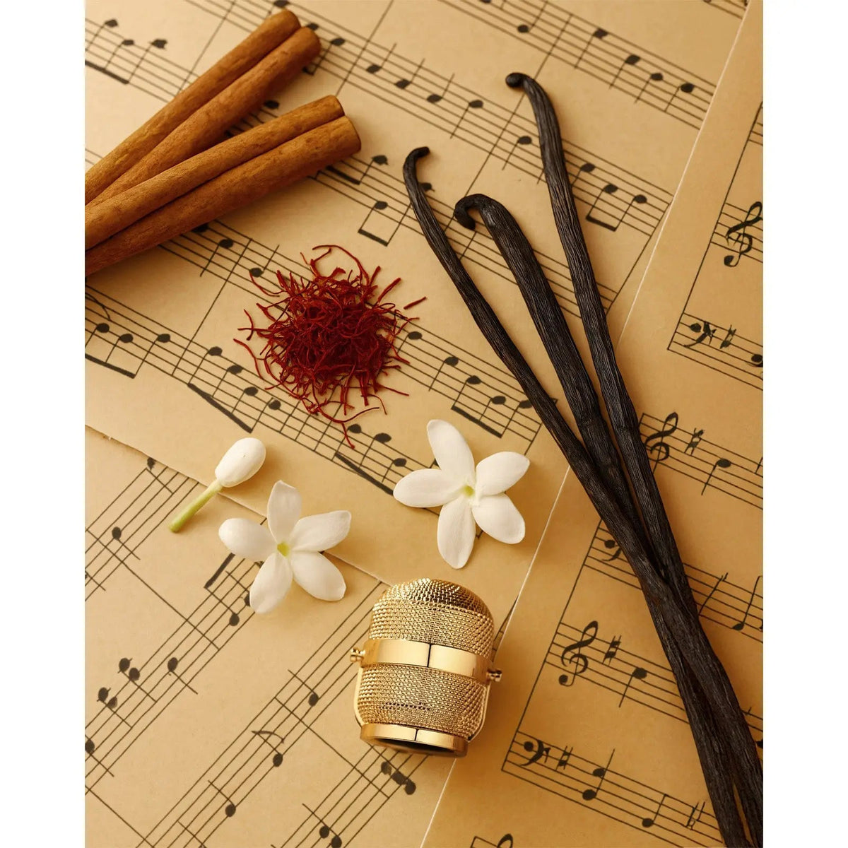 Notes Jazz Perfume 100ml EDP Fragrance World | ScentSaver
