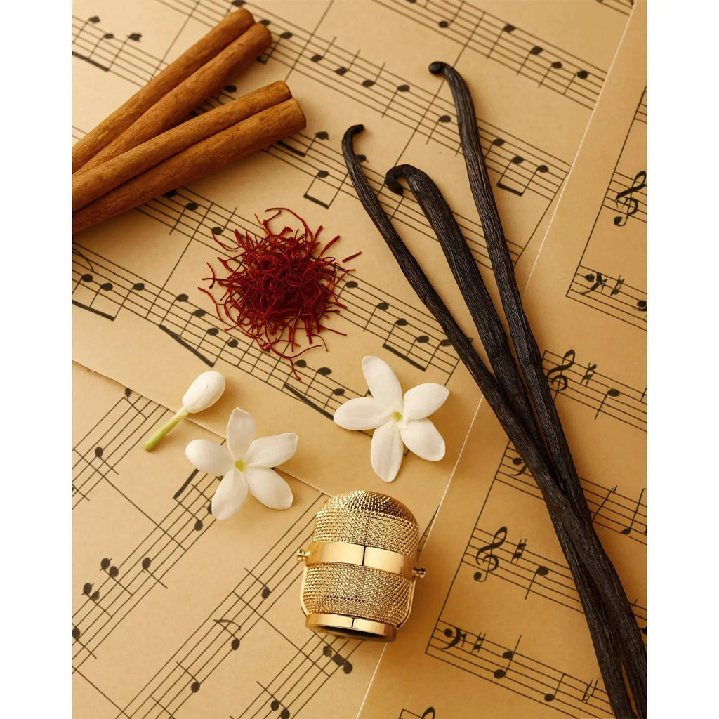 Notes Jazz Perfume 100ml EDP Fragrance World | ScentSaver