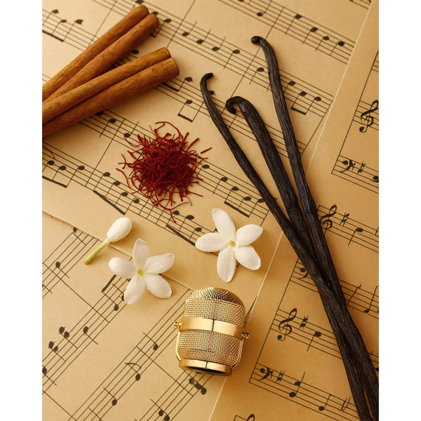 Notes Jazz Perfume 100ml EDP Fragrance World | ScentSaver