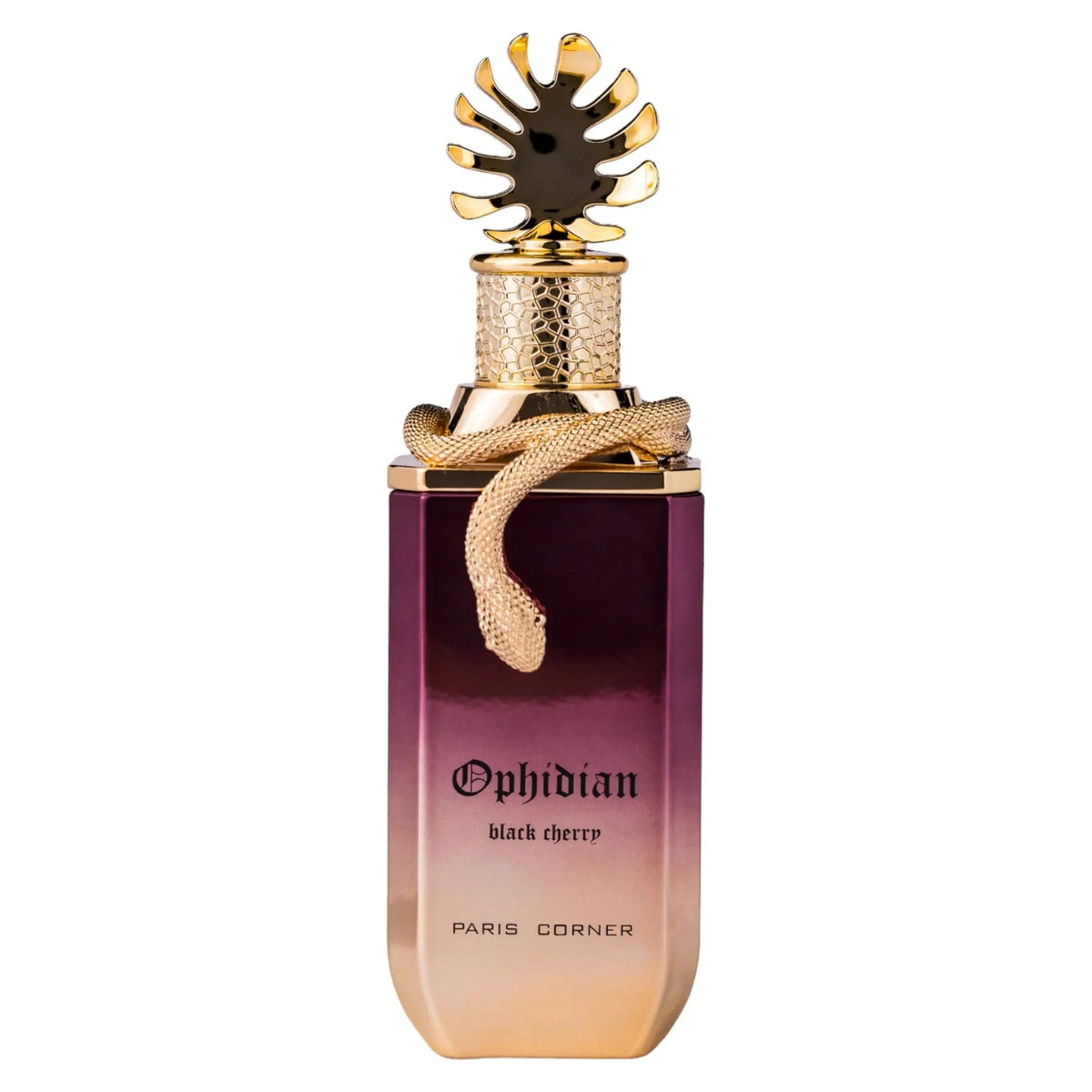Ophidian Black Cherry Perfume 100ml EDP Paris Corner | ScentSaver