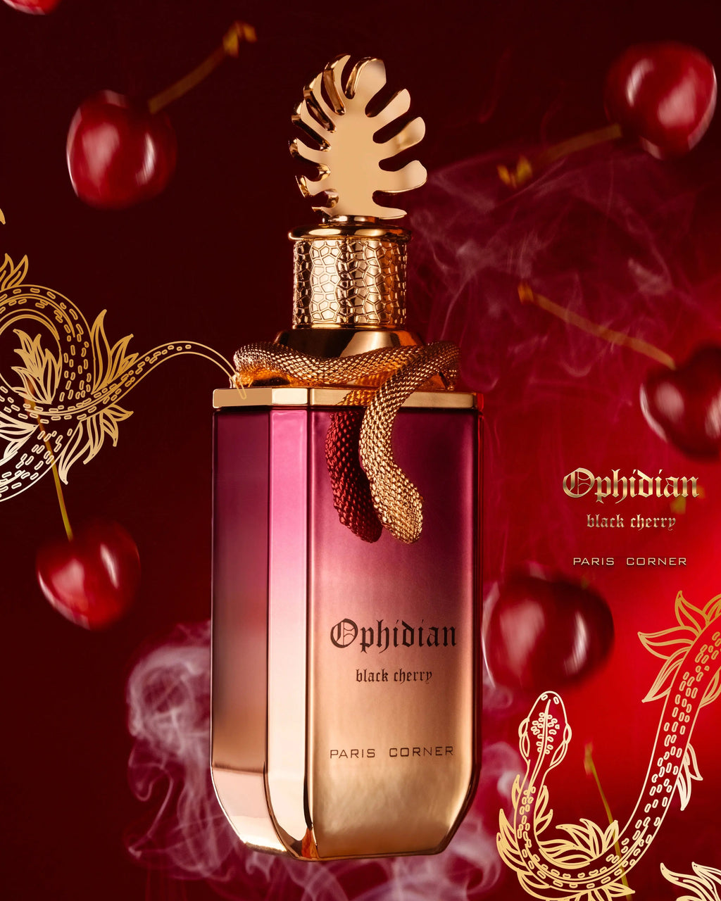 Ophidian Black Cherry Perfume 100ml EDP Paris Corner | ScentSaver