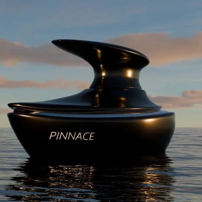 Pinnace Noir 100ml EDP French Avenue by Fragrance World Secondary image