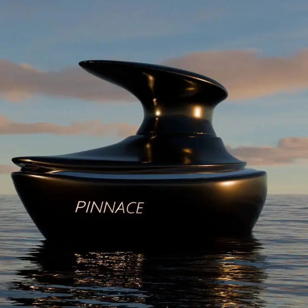 Pinnace Noir 100ml EDP French Avenue by Fragrance World | ScentSaver