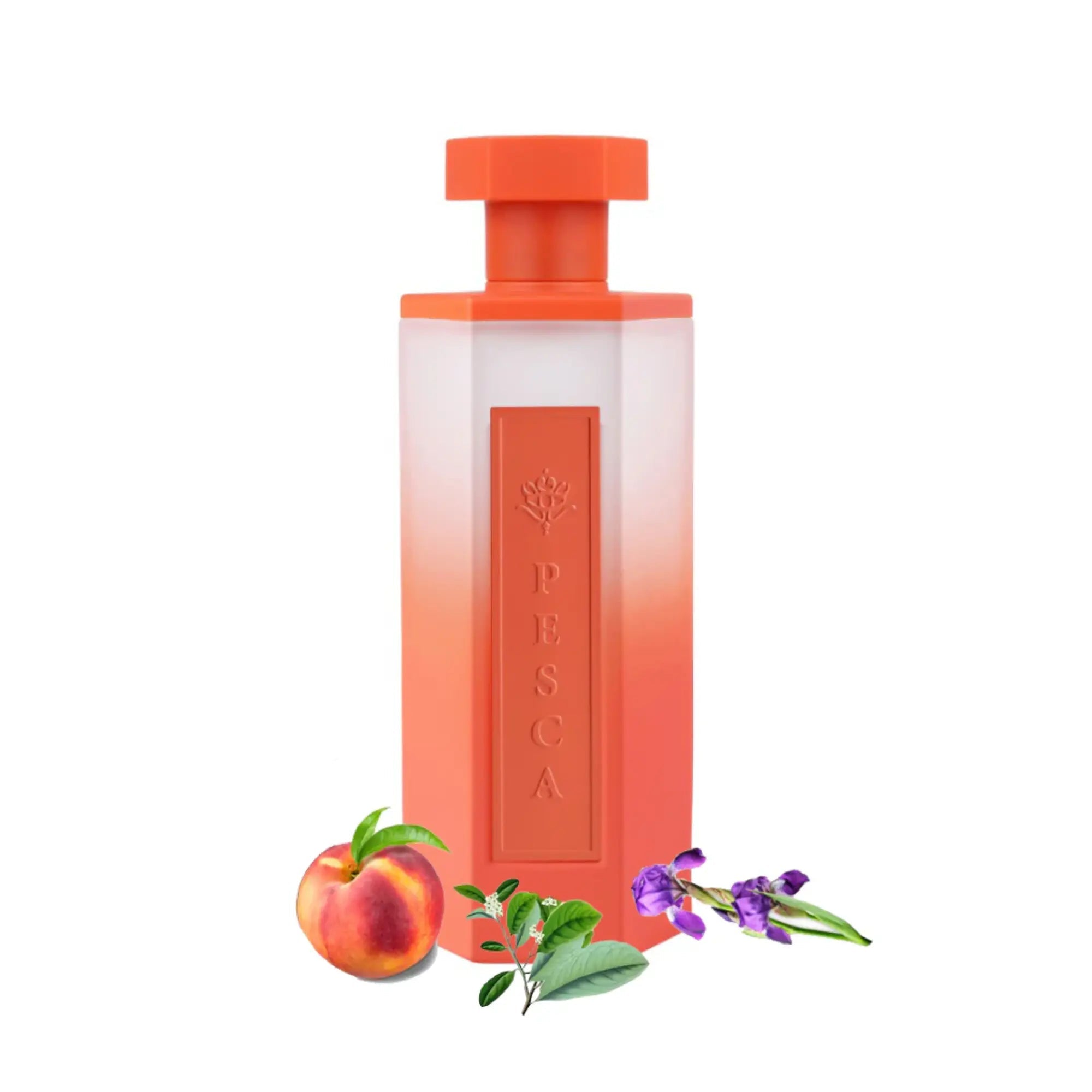 Reef Pesca EDP by Reef Perfumes | ScentSaver