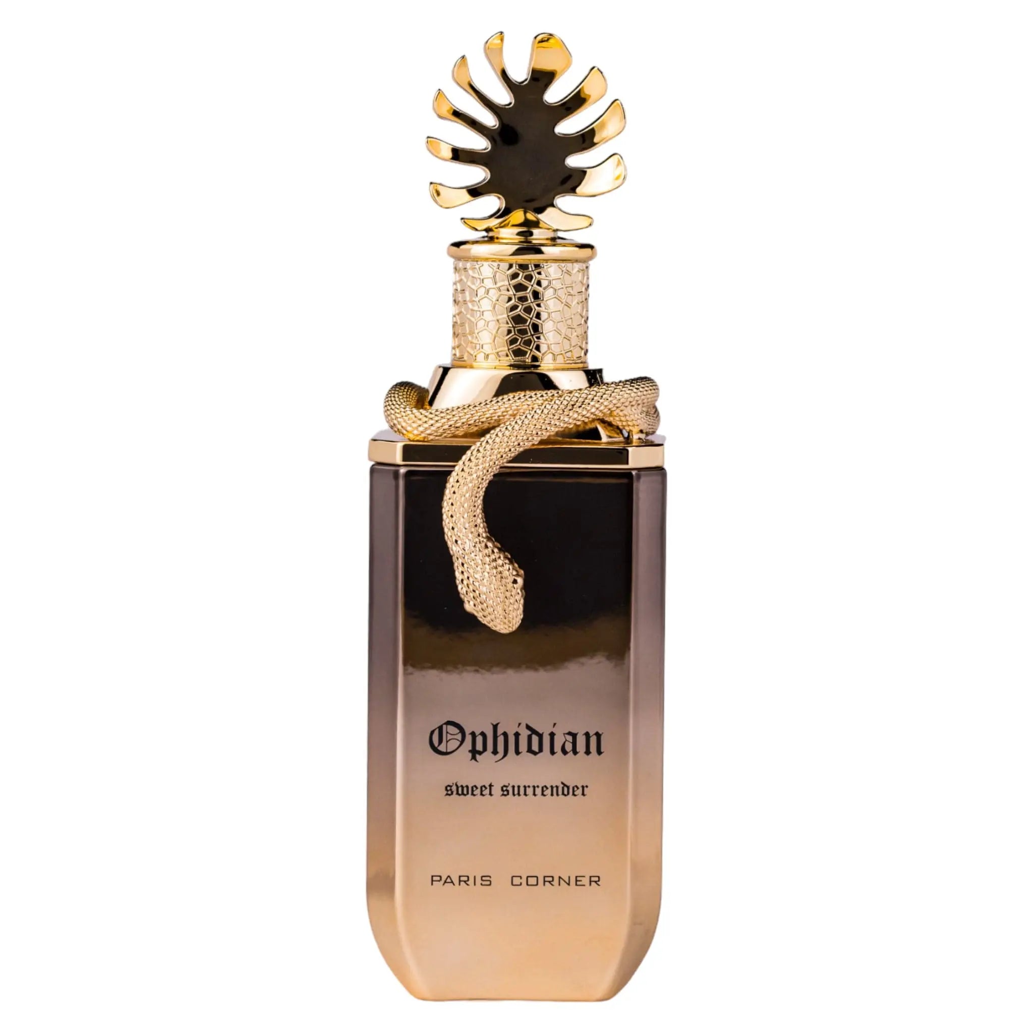 Sweet Surrender Perfume 100ml EDP Paris Corner | ScentSaver