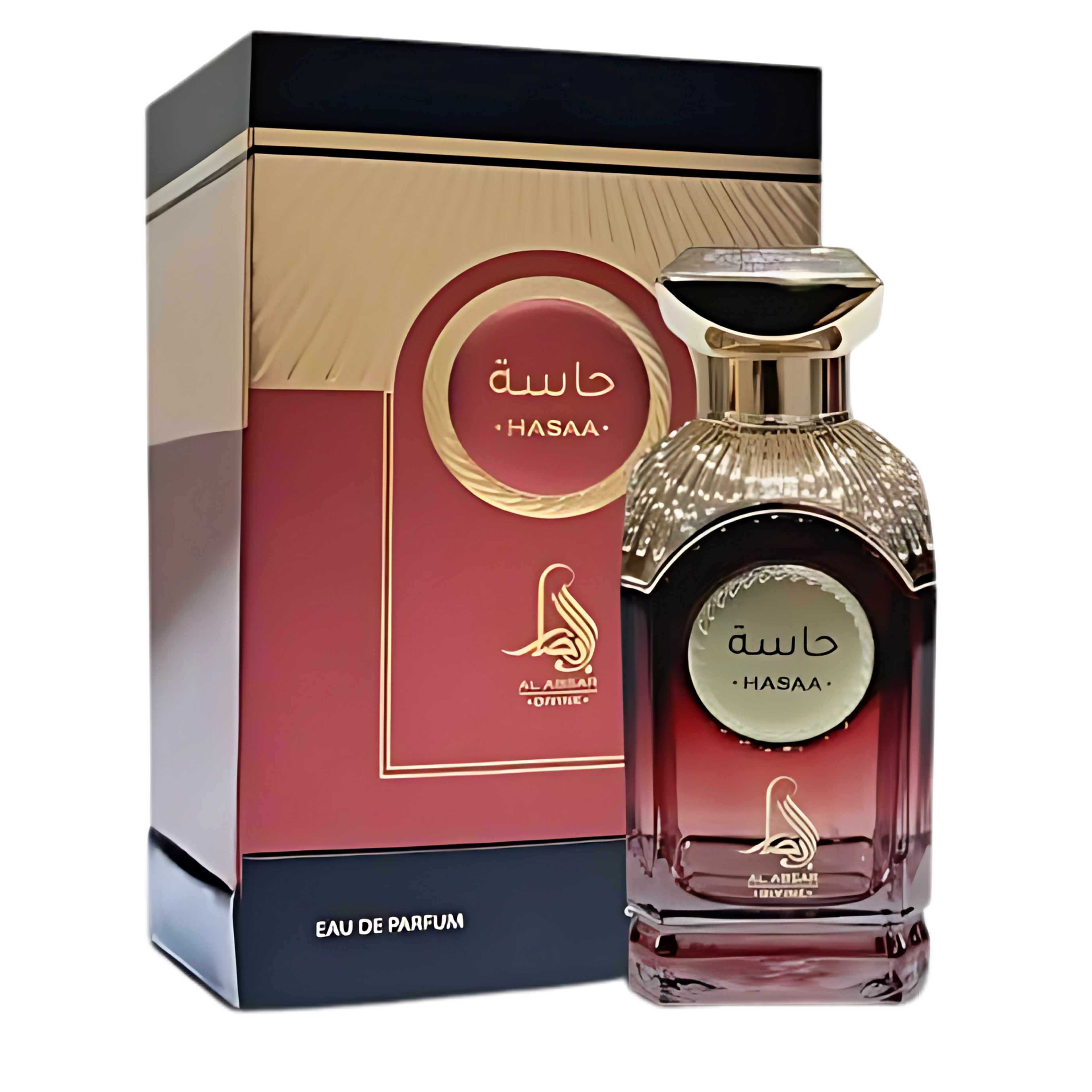 Hasaa Perfume 100ml EDP Al Absar - ScentSaver