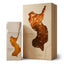 Ravine Ginger Perfume 100ml EDP French Avenue - ScentSaver