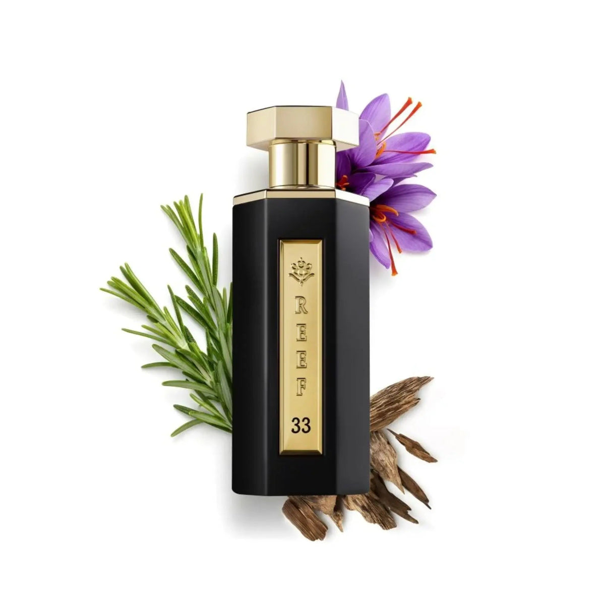 Reef 33 Classic Perfume 100ml EDP Reef - ScentSaver