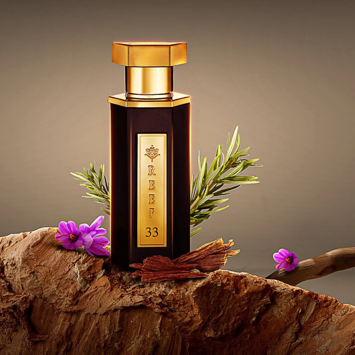 Reef 33 Classic Perfume 100ml EDP Reef - ScentSaver